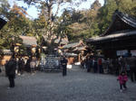 201311taga.jpg