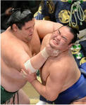 2013113takamizakari.jpg