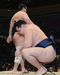 2013116kakuryu.jpg