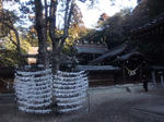 2013119tagajinja.jpg