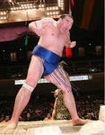 2013127takamizakari.jpg