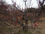 soripond201322soriume.jpg
