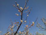 soriue2013353.jpg