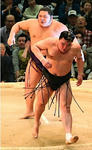 2013313tiyotairyu2.jpg