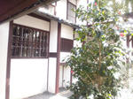 niijimagarden3.jpg