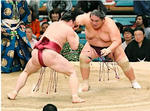 miyabiyamasaigonosirobosi.jpg