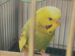 michan20123.jpg