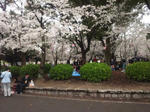 turumakoen3.jpg