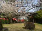 20134kenkonindohyo.jpg