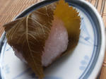 2013sakuramoti.jpg