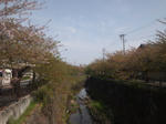 20134yamazakigawa.jpg