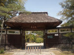 tozansomon.jpg