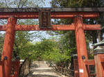 himurojinjatorii.jpg
