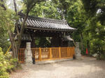 natayakusimon2013521.jpg