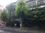 kawabunnagoya1.jpg