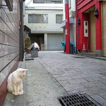 tq96261gesuinodobune.jpg