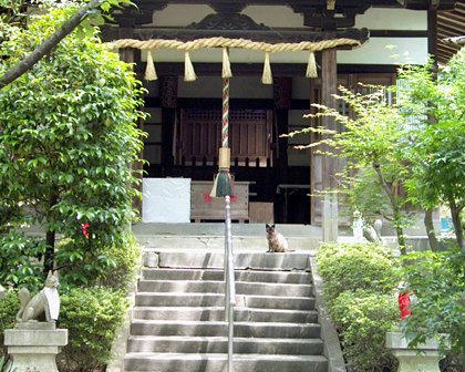 tq99291inarineko.jpg