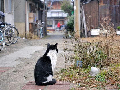tr01242kegakakusu.jpg