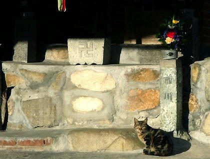 tr0z242kihon.jpg