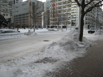 雪が降っている・・・