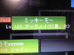 みっきーも！みっきーも！！