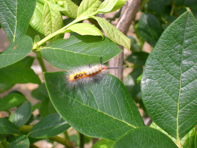 CIMG0563.JPG