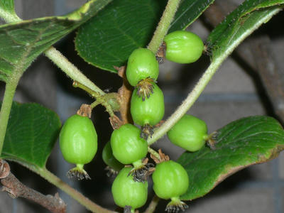 CIMG0549.JPG