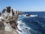 P3050080.jpg