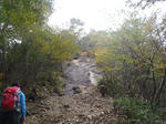 PB030549.JPG