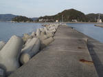 P3200700.JPG