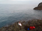 P4290769.JPG