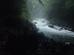 P9170437.JPG