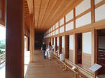 PA051106.JPG