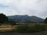 PA051108.JPG