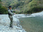 PB031243.JPG