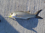 PB101258.JPG