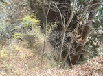 PB171278.JPG