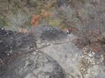 PB171286.JPG