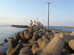 PB241307.JPG