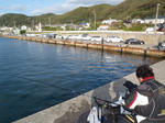 PC011315.JPG