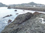 PC011326.JPG