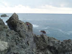 PC011330.JPG