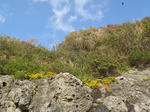 PC011338.JPG