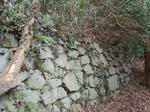 P1051425.JPG