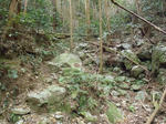 P1051434.JPG