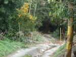 P1051437.JPG