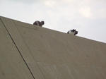 PC311370.JPG