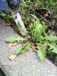 200906071413001.jpg