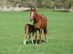 DSCF1040.jpg