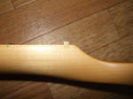 DSCF1264.jpg
